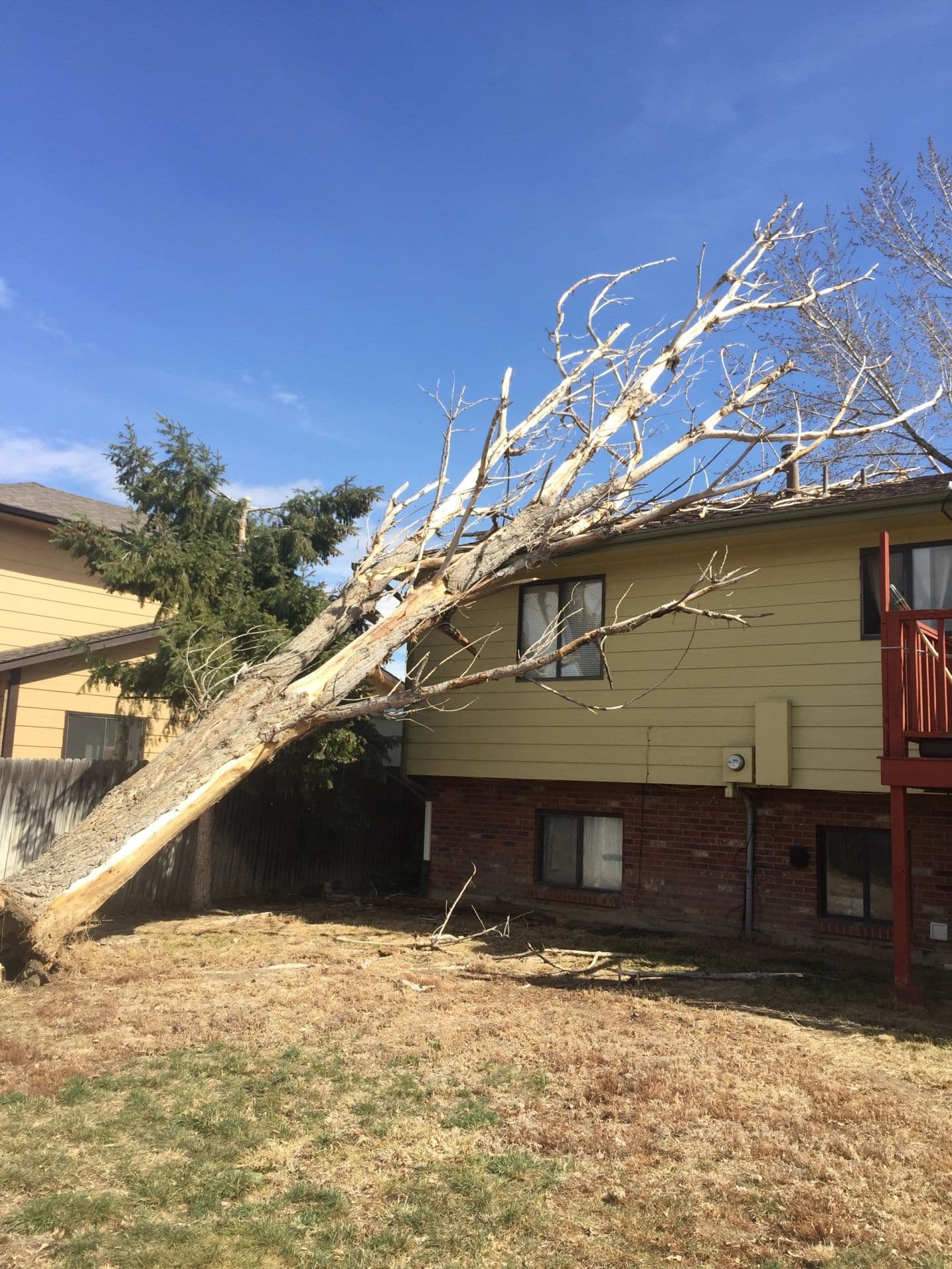 A large tree brought down by a storm, leaning on the roof of a house